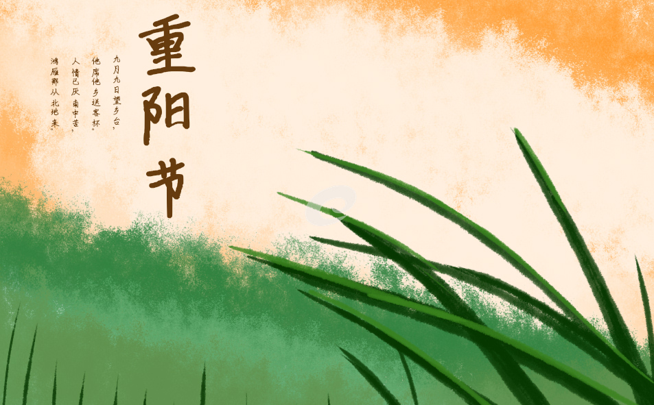 九九重阳节敬老爱老活动主题致辞