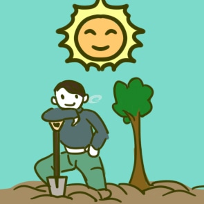 写一篇植树的演讲稿