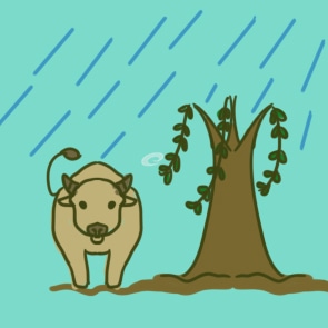 2021清明节国旗下讲话稿