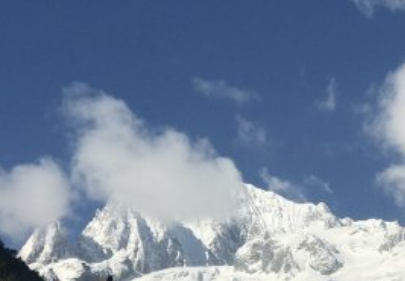 创建森林城市演讲稿模板