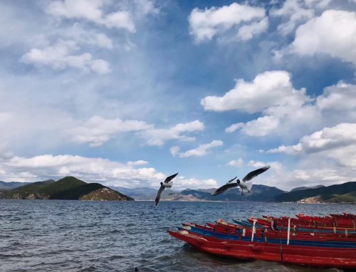 做新时代好少年演讲稿