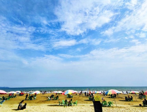 护士辞职信范文10篇