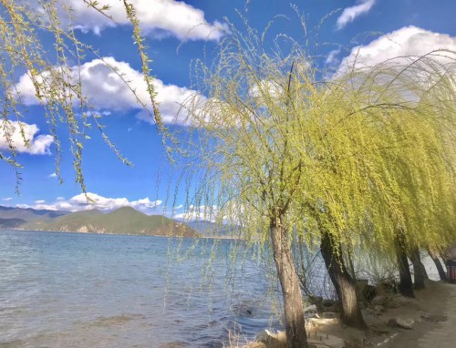 三伏天2023结束时间